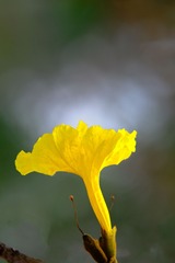 DSCF0469_2_1