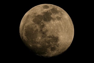 F7FE0425-3532-4D13-A9FD-D93262A82EB6_1_201_a