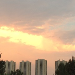 C0B838E8-2637-4BC8-A259-7DB7385709D6/L0/001