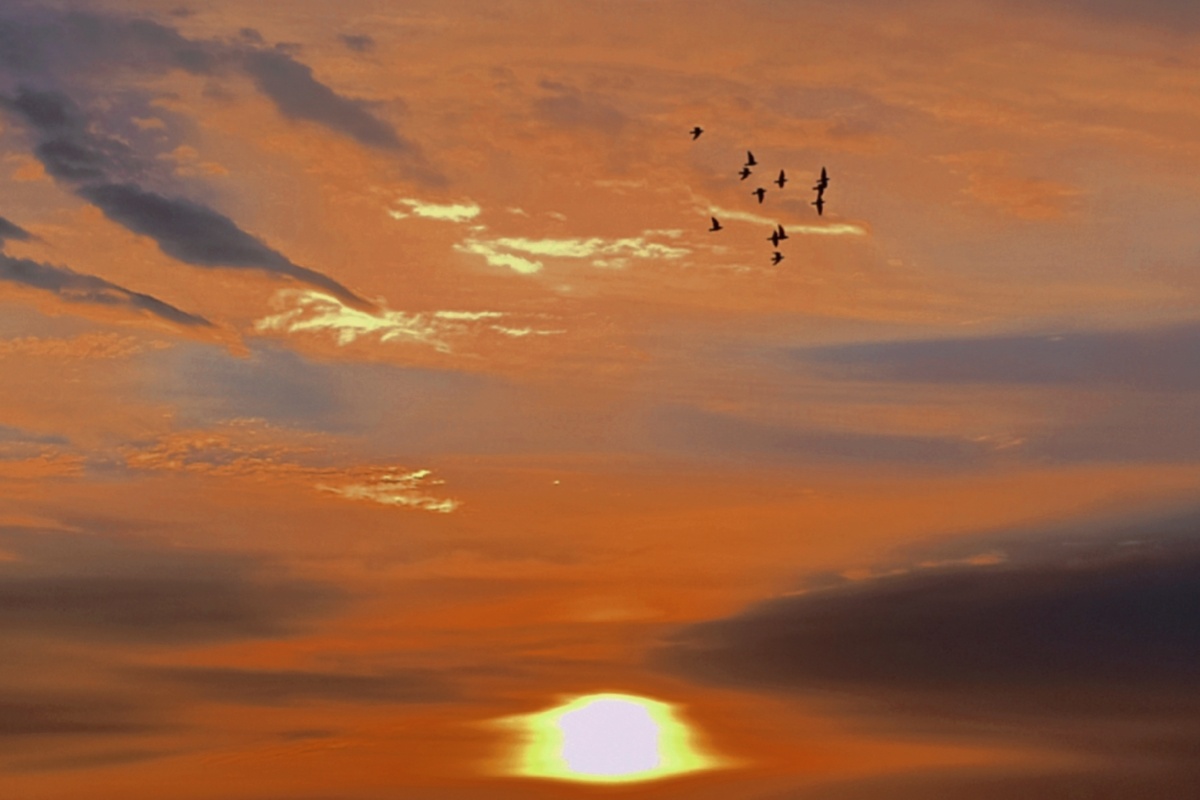 破晓早晨迎接日出拥抱太阳心情像飞鸟一样自由