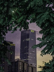 1000246310