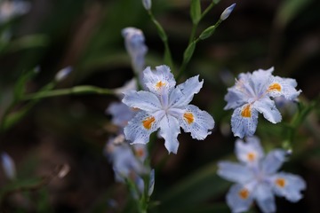 29AC3694-C0F8-44D1-8BDF-BC462729CB2C/L0/001
