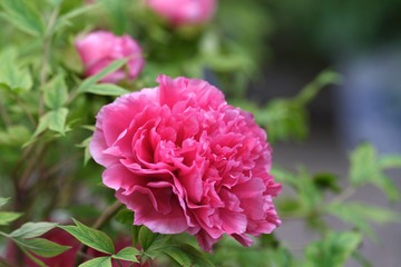 9F22E45C-542F-41C3-9DED-731328409F75/L0/001