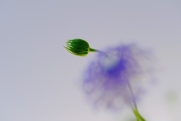 B5CA77EF-AF31-40F1-A789-788D135E85CA/L0/001