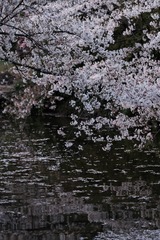 61455A3E-59DA-4A8A-8E38-F8E62B2CC497/L0/001