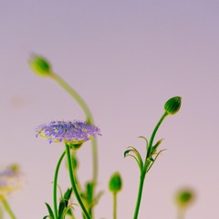 3A306508-D4C8-4918-B055-2BFD0A513B19/L0/001