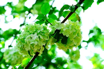 3A8586E3-8CD8-4F57-A3C6-E0D5E4A23F2F/L0/001