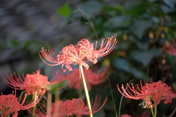 B055082D-5A5D-4CAA-95C7-E7105B3D7FE5/L0/001