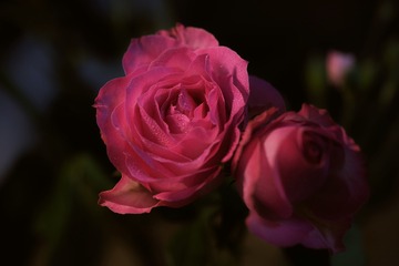 9C27C88B-DF62-47BC-8CEA-3BDA812A51D1/L0/001