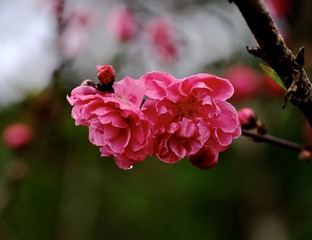 6719090D-45AF-46B8-821B-A70399BB0D81/L0/001