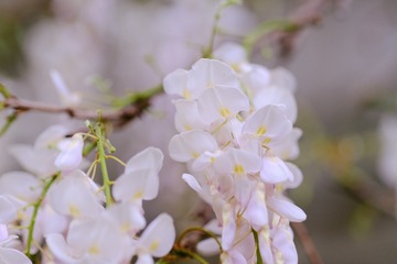 0B317447-596C-4D90-B455-4789138D2CFC/L0/001