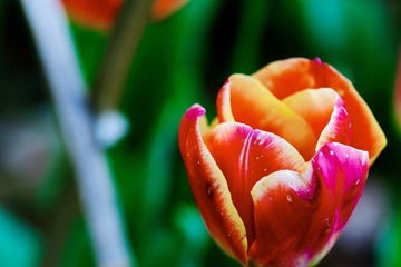 3B68331F-4979-49A7-88D9-50FB82F56BA4/L0/001