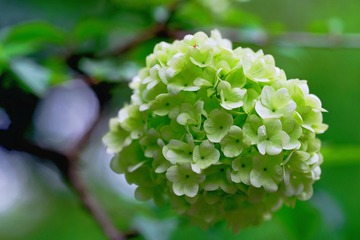 6E32C26F-E512-464E-9D83-DD2E5BC47DE3/L0/001
