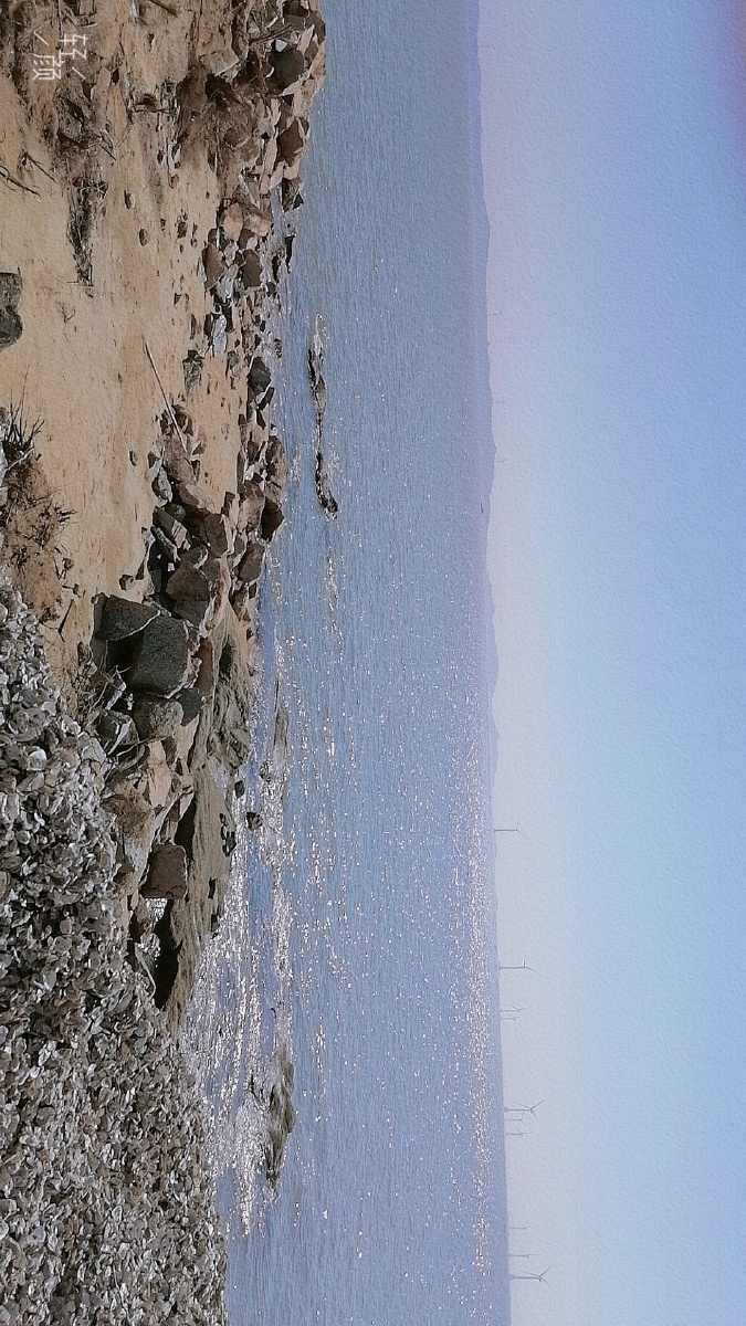 蓝色系治愈背景墙海边