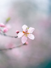 39F0BD99-68F6-4F1B-AD7F-C9681D3454A0/L0/001