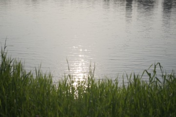 20E70B83-966F-48C4-804F-AC8E33CDDF47/L0/001