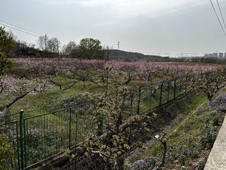 68E6EEE3-0477-49BA-B97E-9D67CB563FD2/L0/001