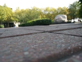 1155154
