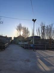1000016803