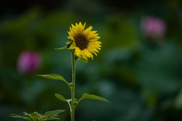 111624