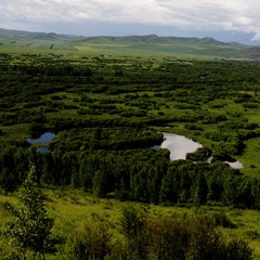 L1032985