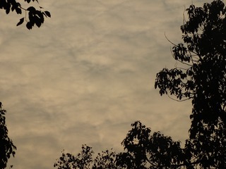 2654596