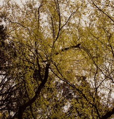 2B0195DA-0C7E-45C9-8E80-3E468760C6CB/L0/001