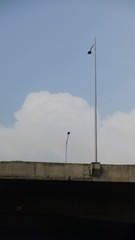 1000036233