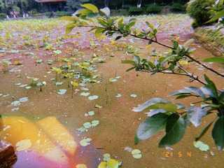 2610050