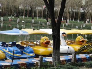 A5BB9F48-100C-465C-AF83-60E68C8A383D/L0/001