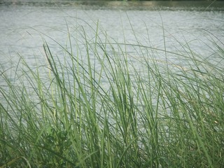 D7FDC693-5C65-479C-B824-7F59107D7785/L0/001