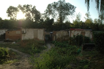 1076750