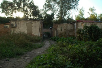 1076743