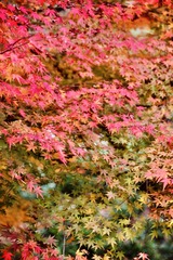 F342DC4C-B2F1-42A2-A027-8613AFF06676/L0/001