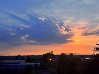 07455D05-D04A-433F-B7D0-8FB4AC431C7C/L0/001