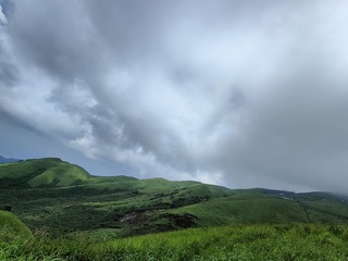 1000006595