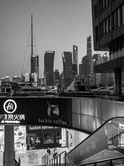 P1274408 2021 b