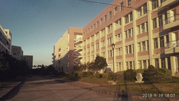 51