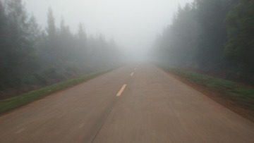 196