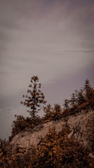 6C4F6B92-7604-4151-9AD4-0FB00845AF11/L0/001