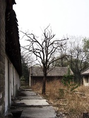 100_5359.JPG