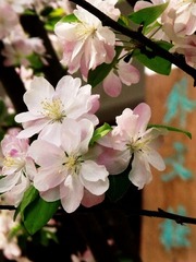 DSCF6526.JPG