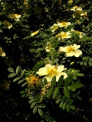 DSCF6872.JPG