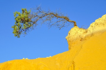 DSCF5299.JPG