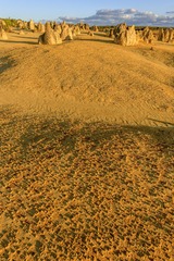DSCF5321.JPG