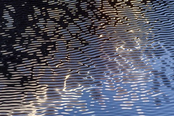 DSCF5415.JPG