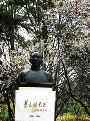 DSCF6571.JPG