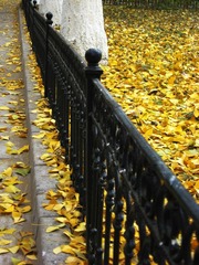 IMG_1174.JPG