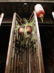 DSCF9948.JPG