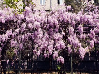 4-22 DSCF6862